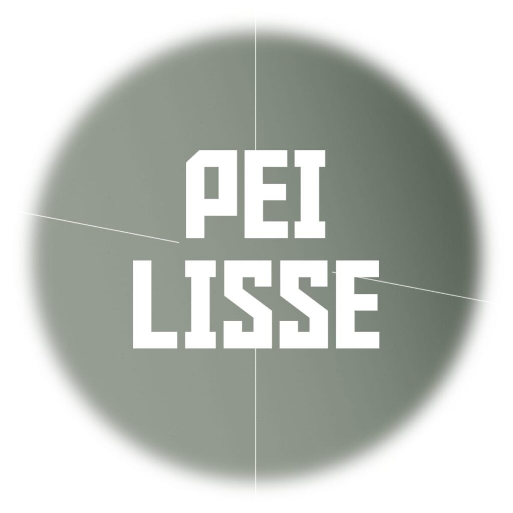 Plaque acier avec PEI lisse pour Prusa